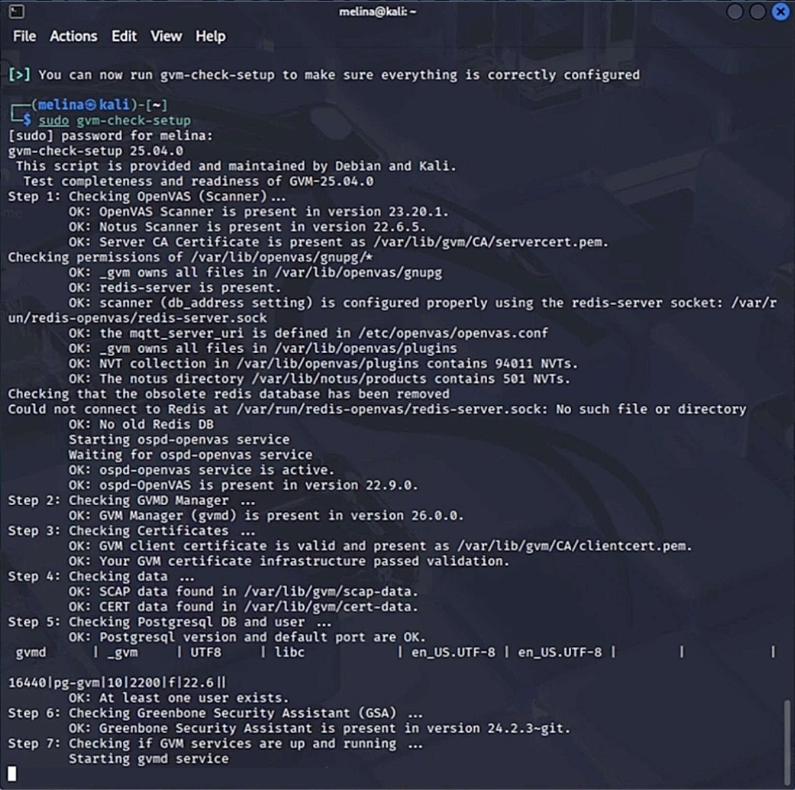 sudo gvm-check-setup