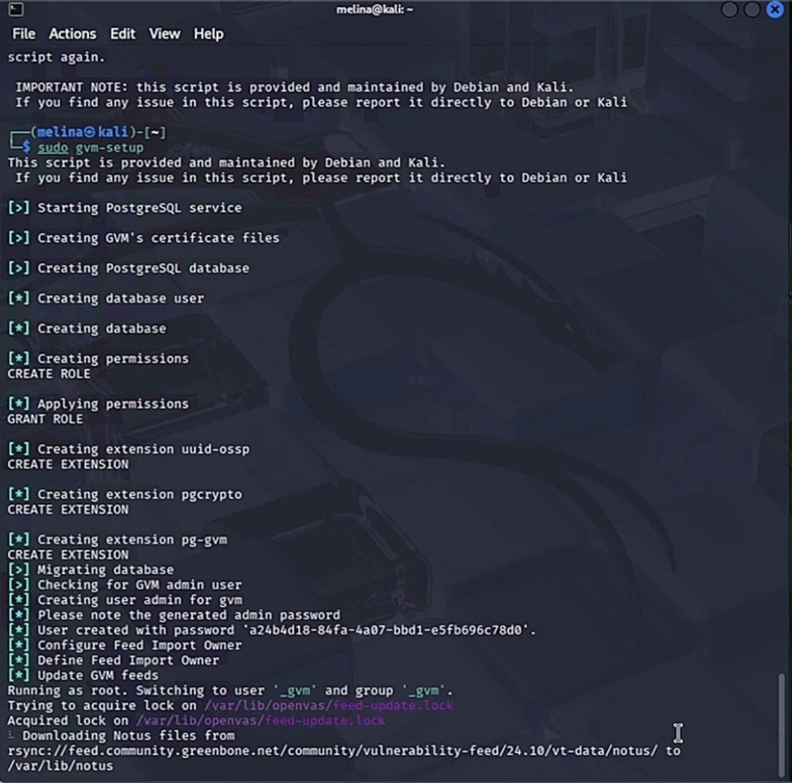 sudo gvm-setup