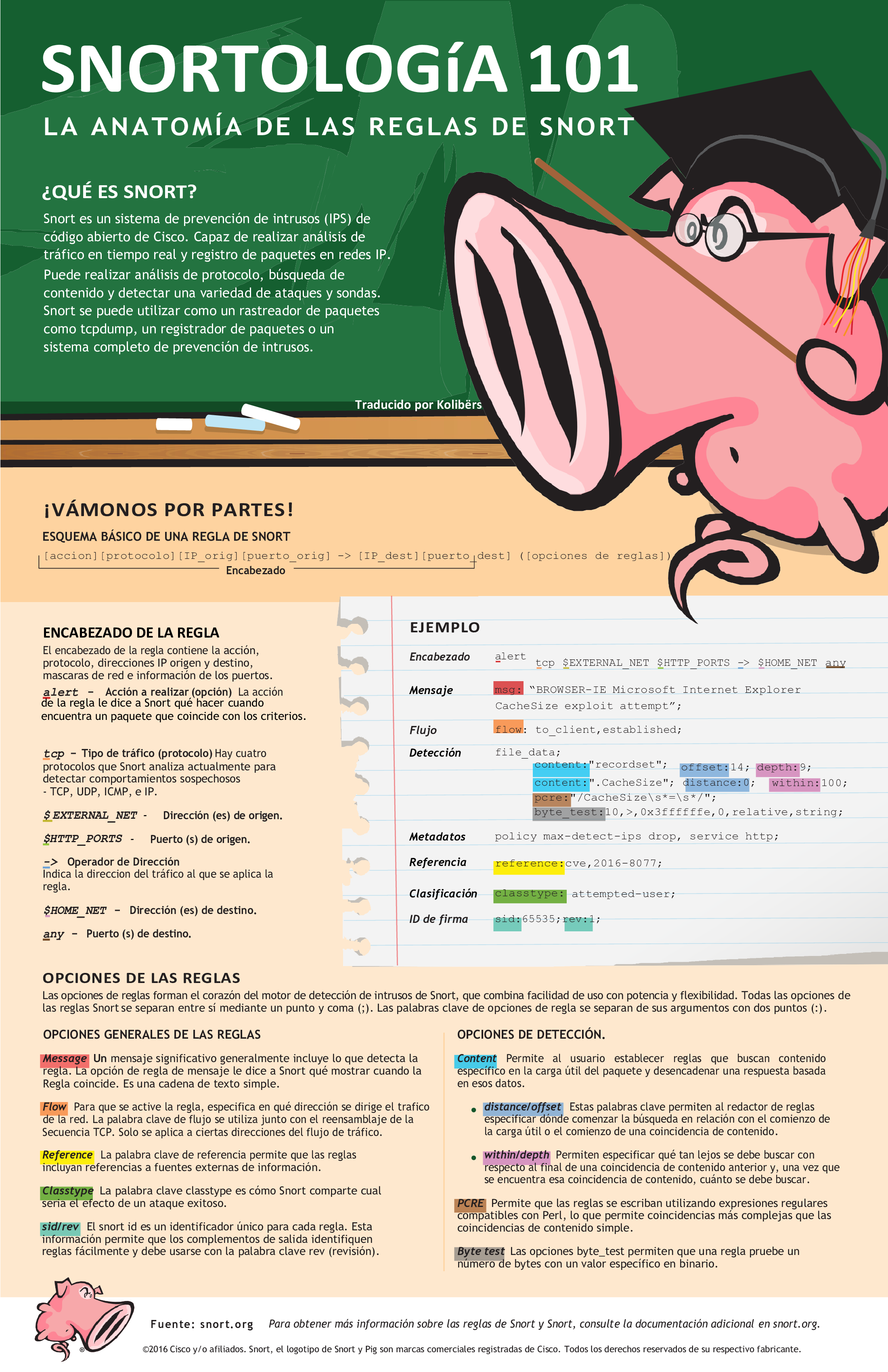 Snort Infographic Rules