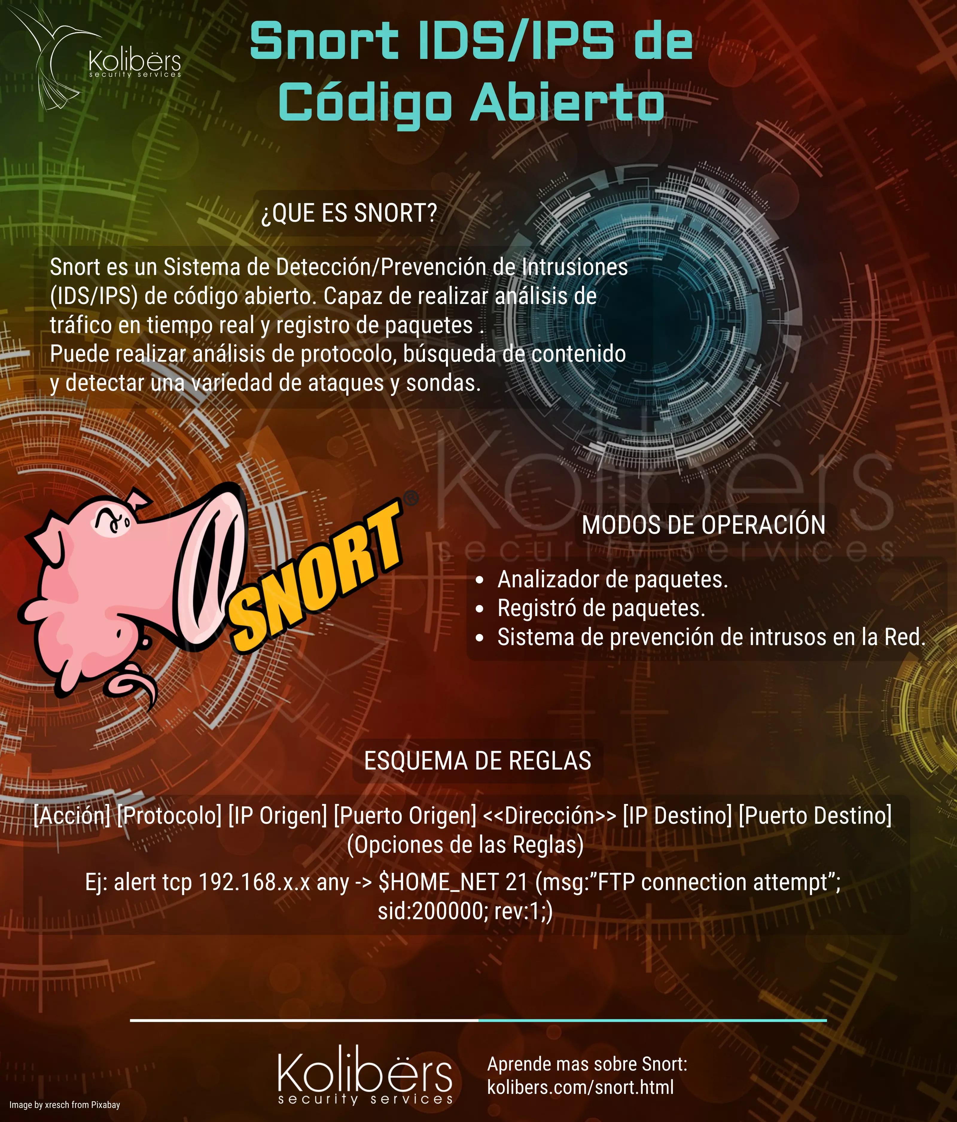 Infografia de Snort